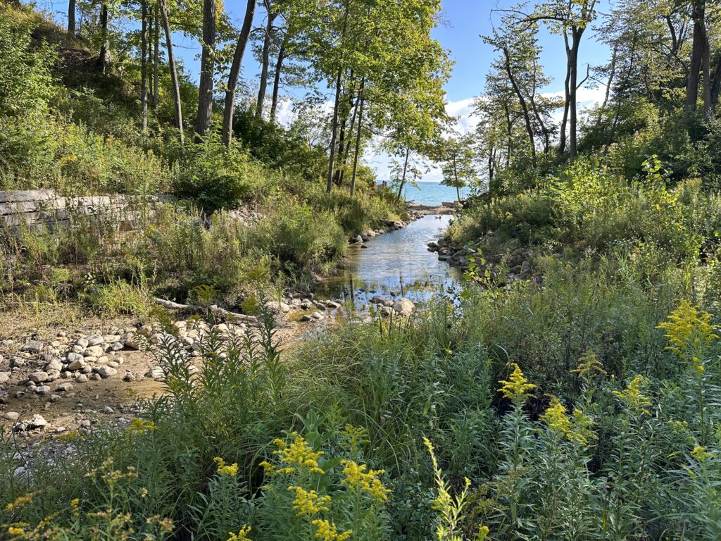 An image of a ravine landscape with a lake in the distance.